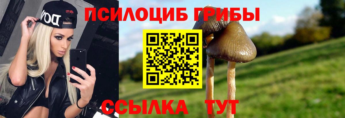 Псилоцибиновые грибы GOLDEN TEACHER  Вход с VPN  Будённовск 